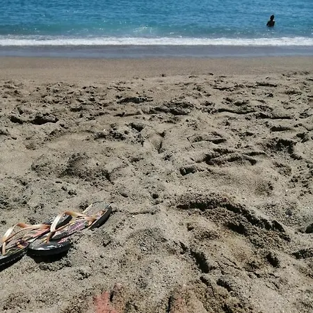 Jolie A Louer Dans La Pinede A 5mn A Pied De La * Argelès-sur-Mer