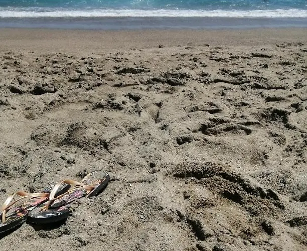 Jolie A Louer Dans La Pinede A 5mn A Pied De La * Argelès-sur-Mer